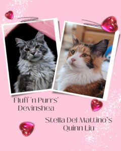 Pink Love Motivation Instagram Post