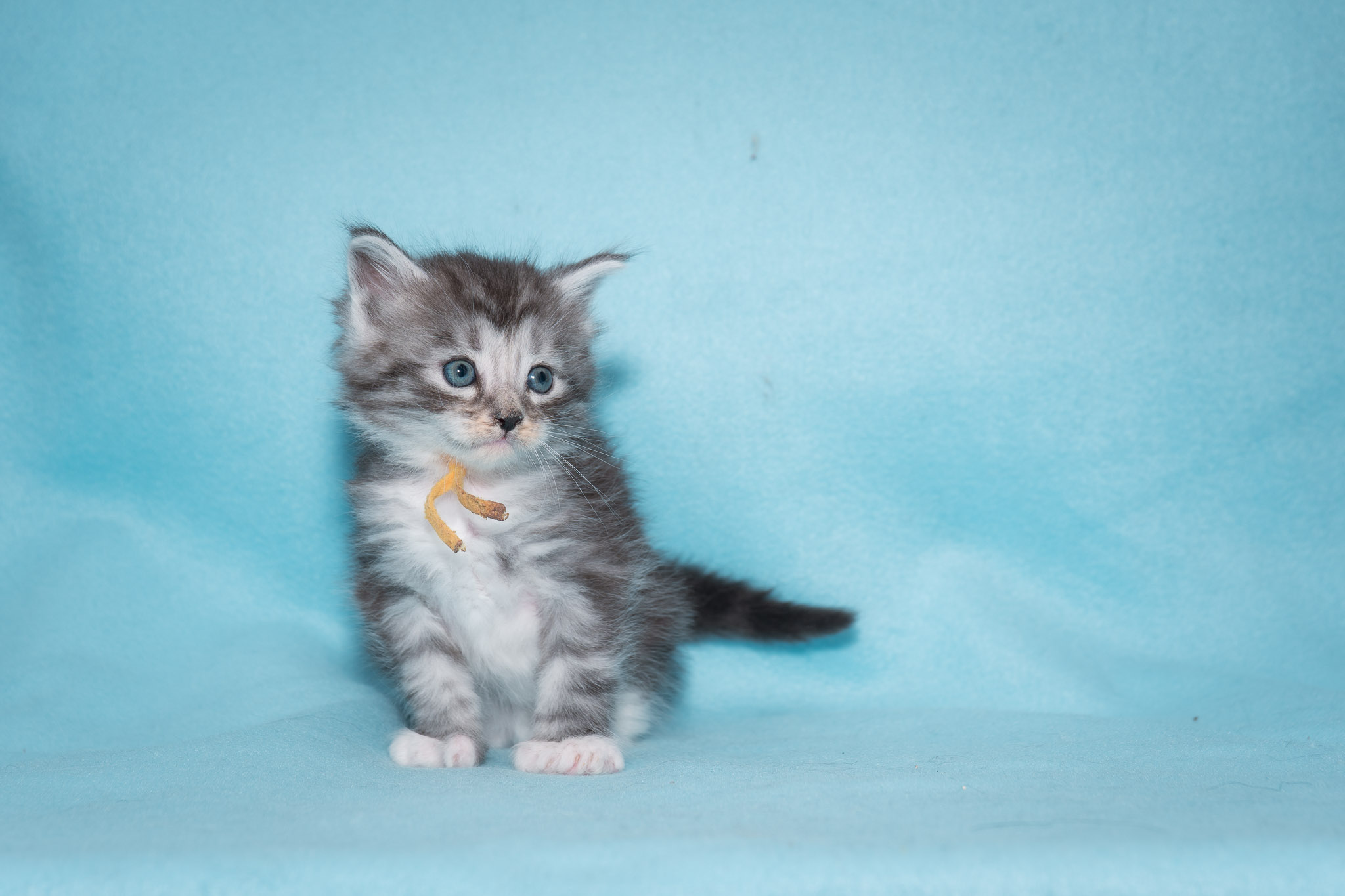 20260306_Ben_0439_Social