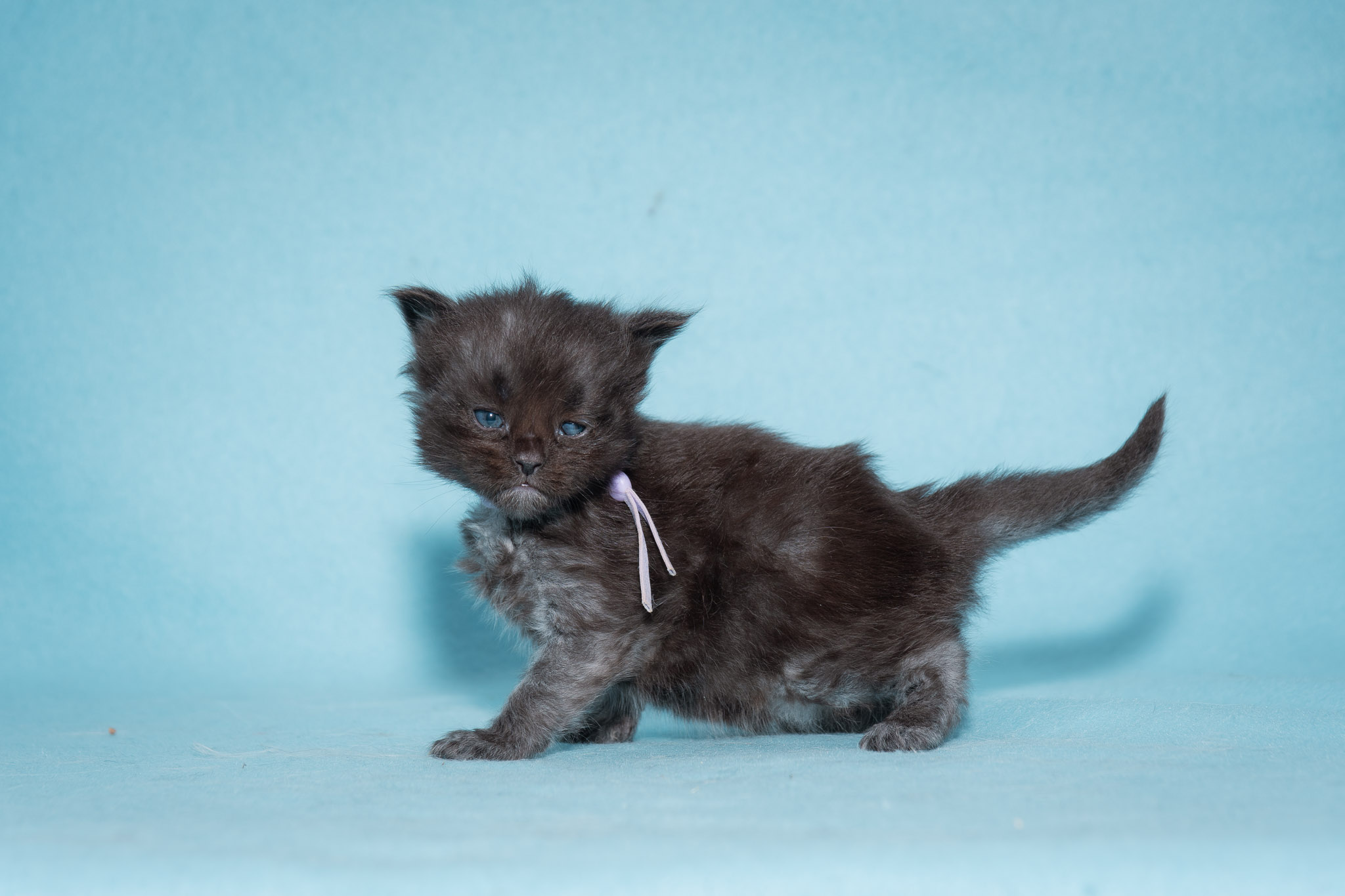 20260306_Crystal_0471_Social