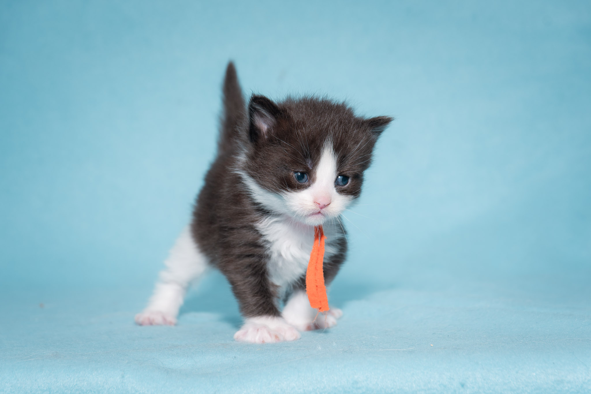 20260306_Frost_0490_Social