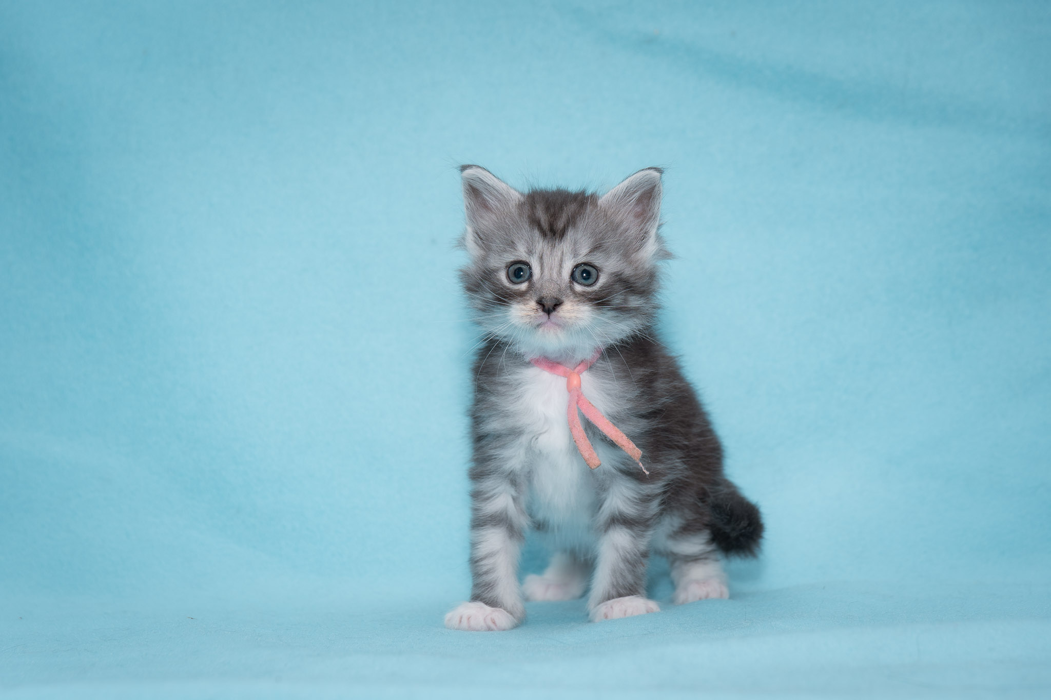 20260306_Hazel_0425_Social