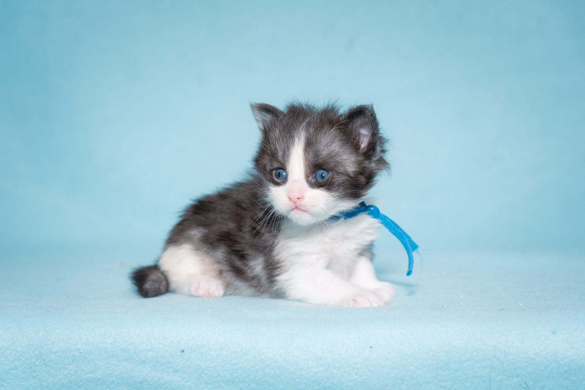 20260306_Ice_0468_Social