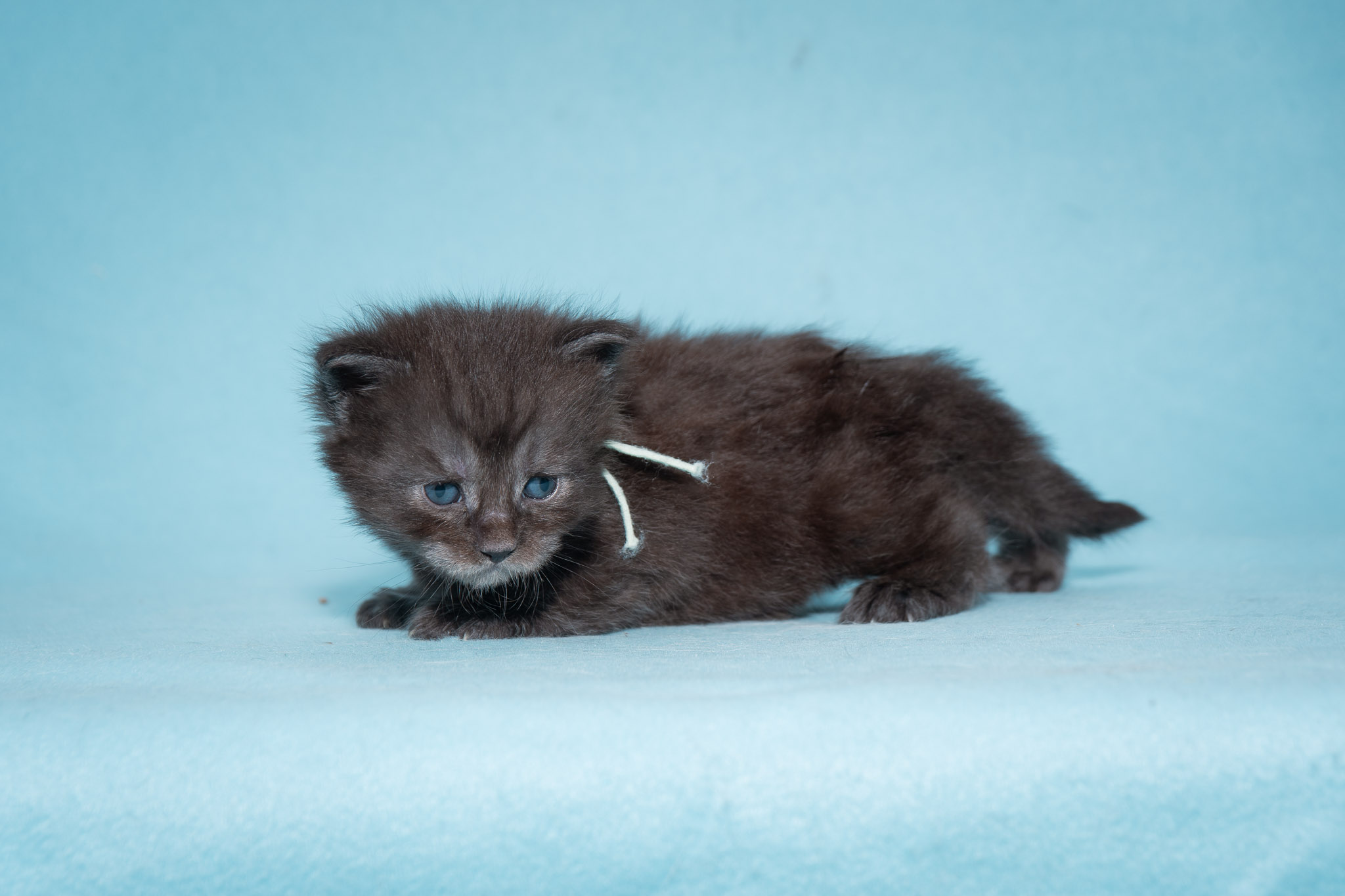 20260306_Misty_0464_Social