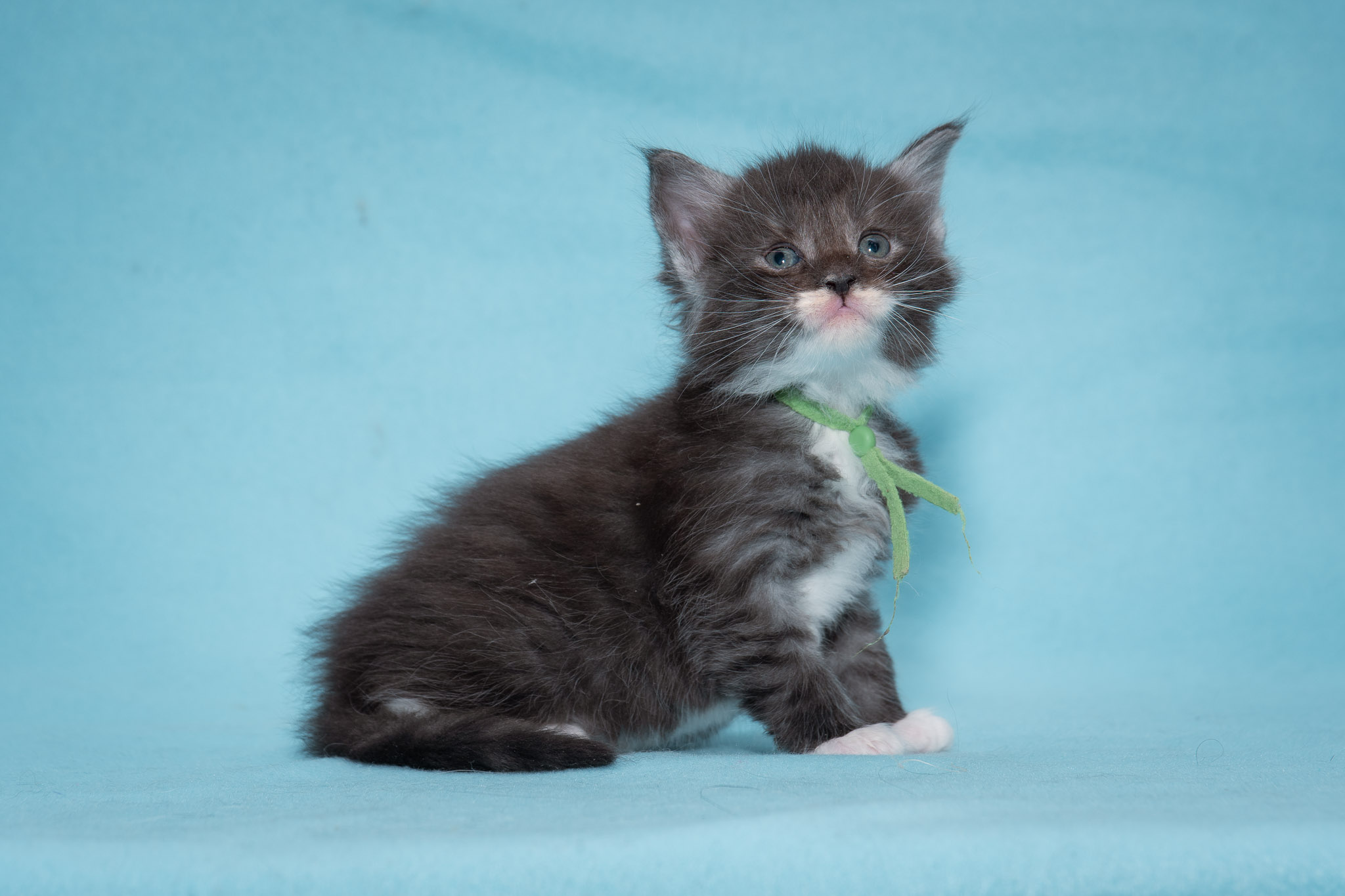 20260306_Mo_0431_Social