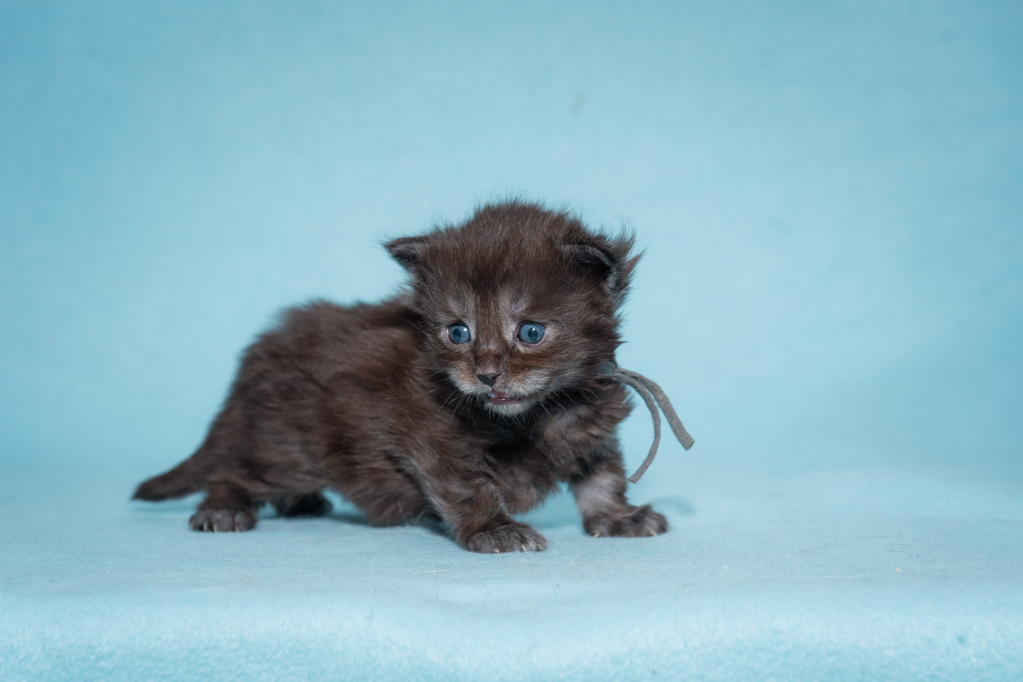 20260306_Polar_0486_Social