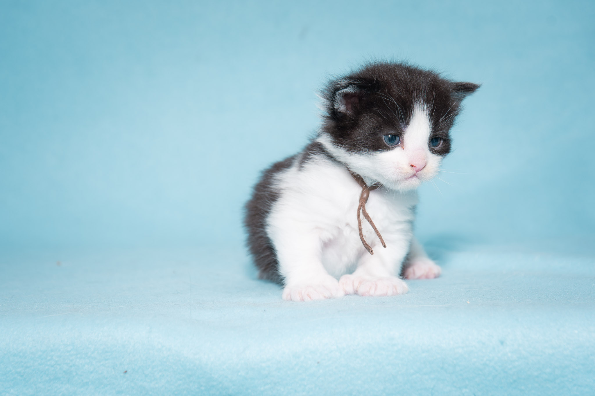 20260306_Storm_0484_Social