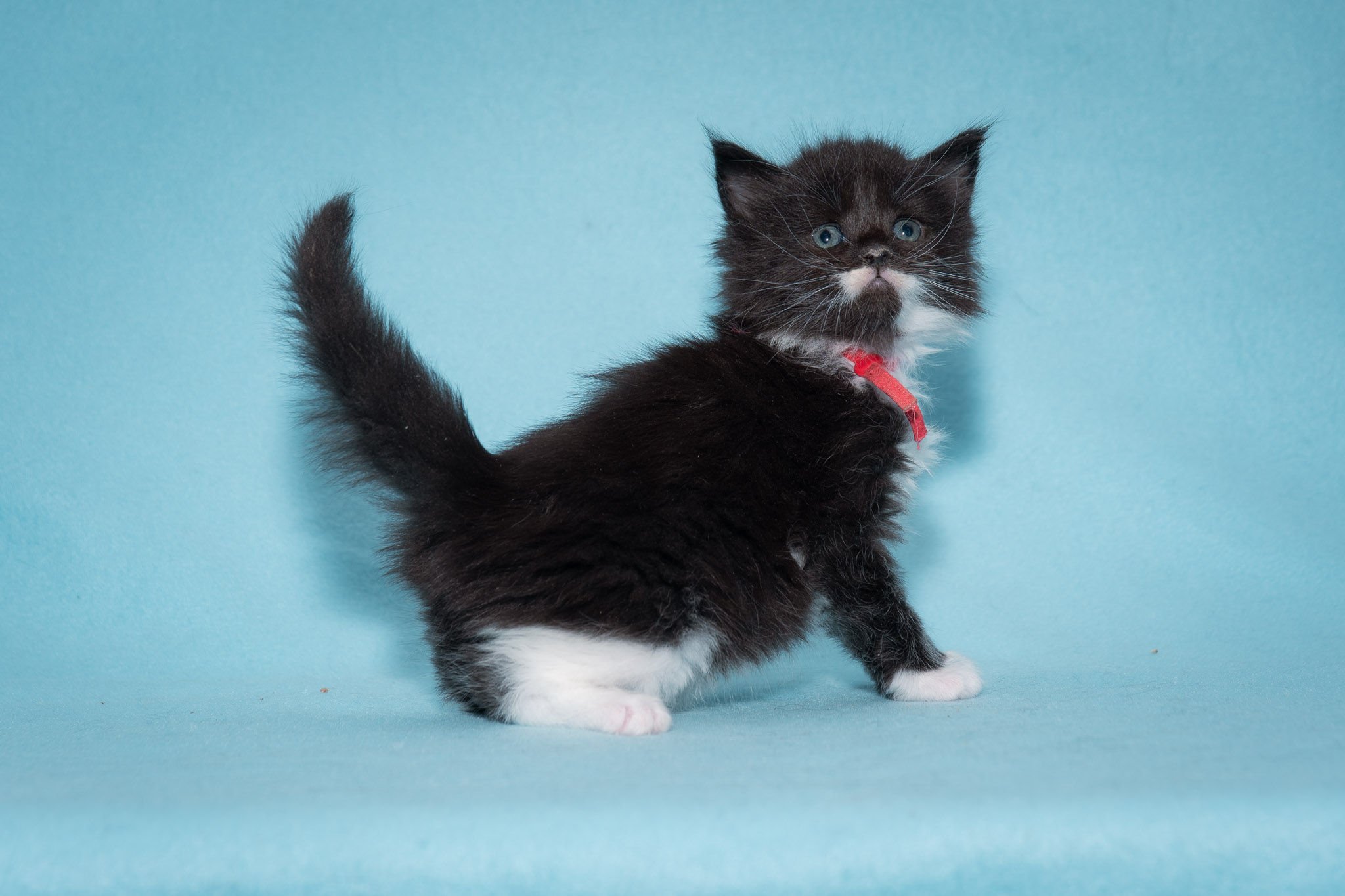 20260306_Tanja_0454_Social