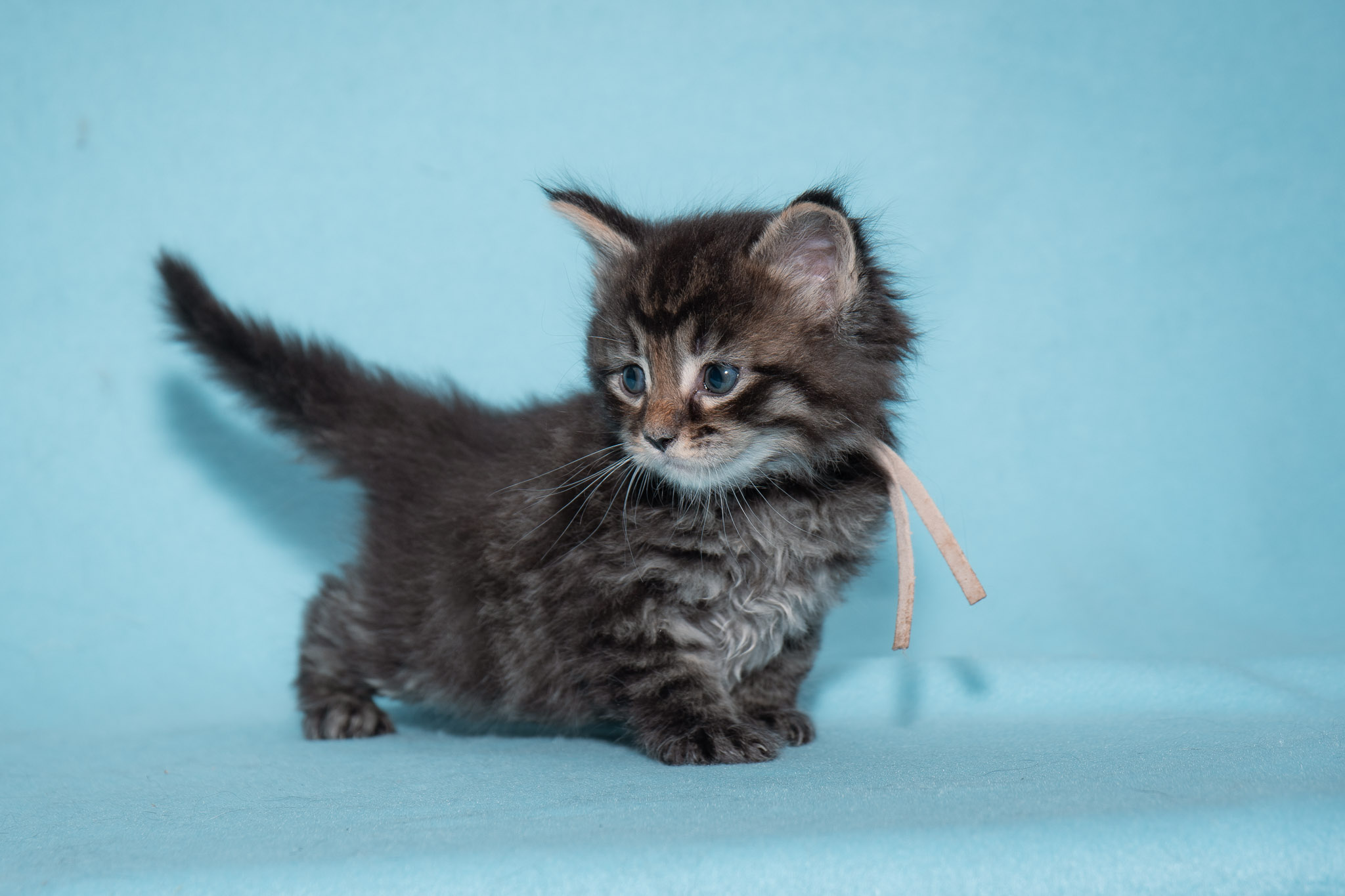 20260306_Wally_0449_Social